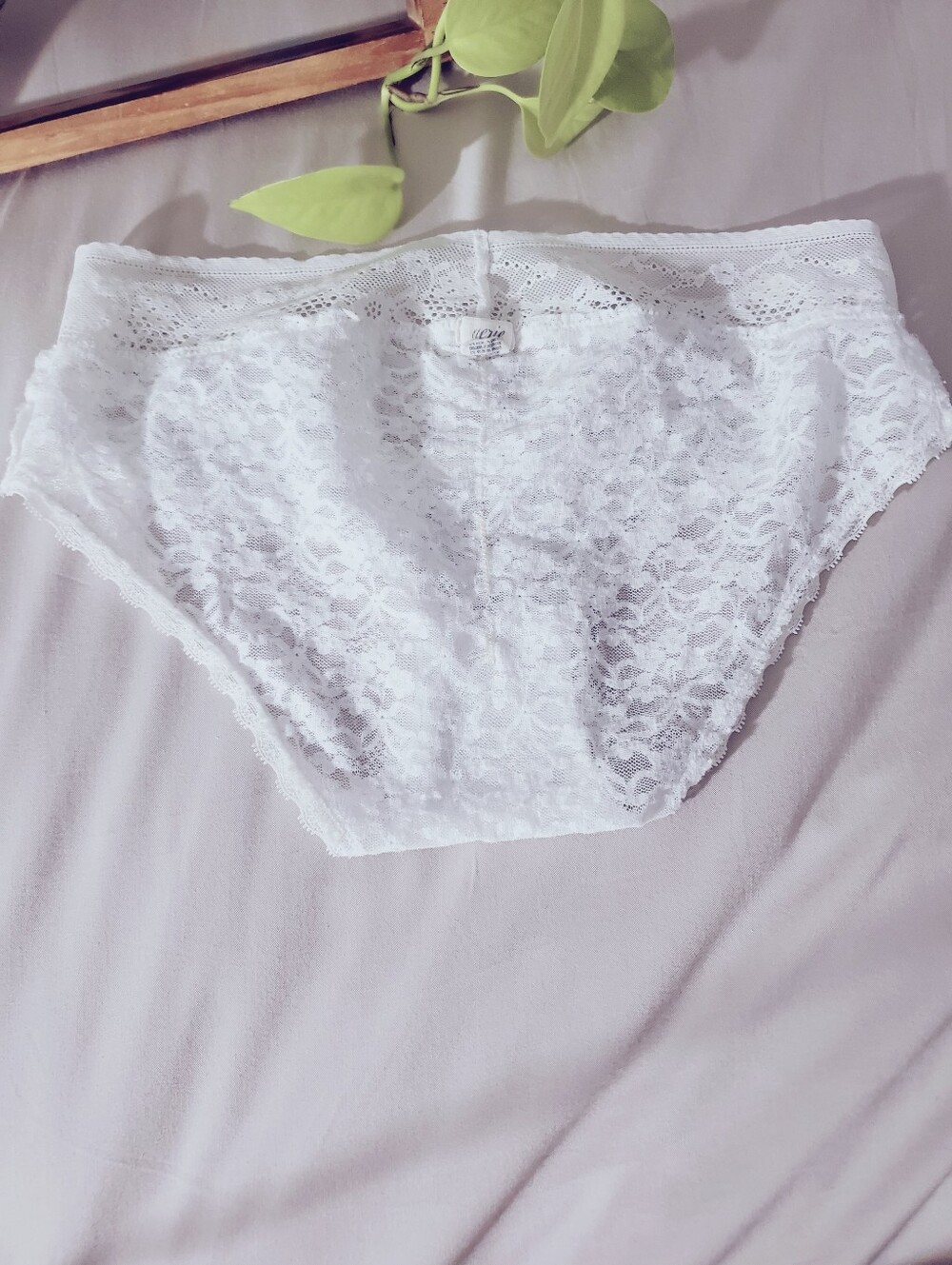 AERIE White Lace Low Rise Bikini Briefs - Picture 5 of 8